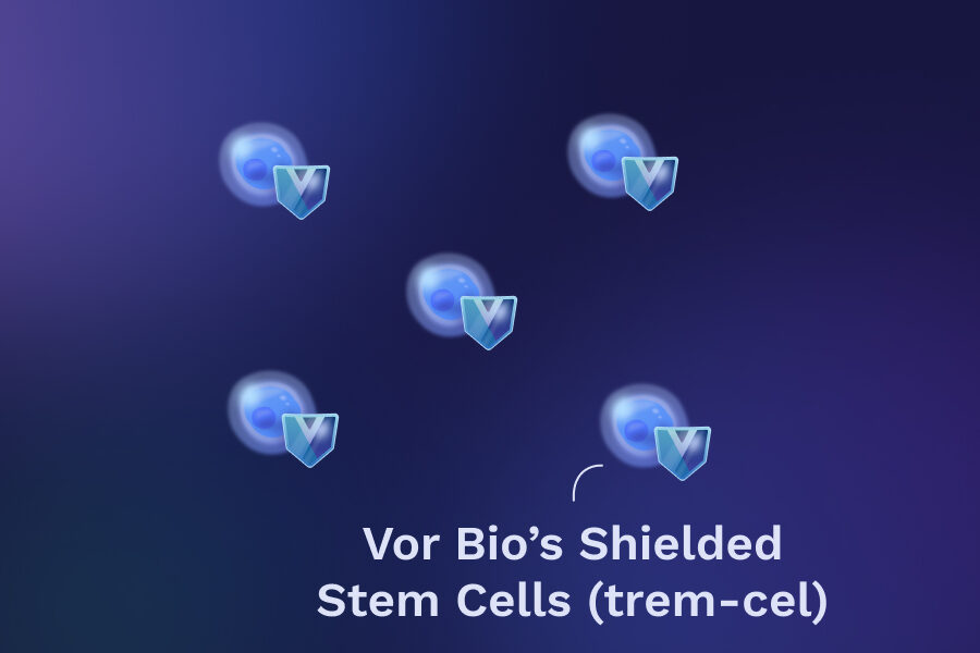 Vor Bio's Shielded Stem Cells