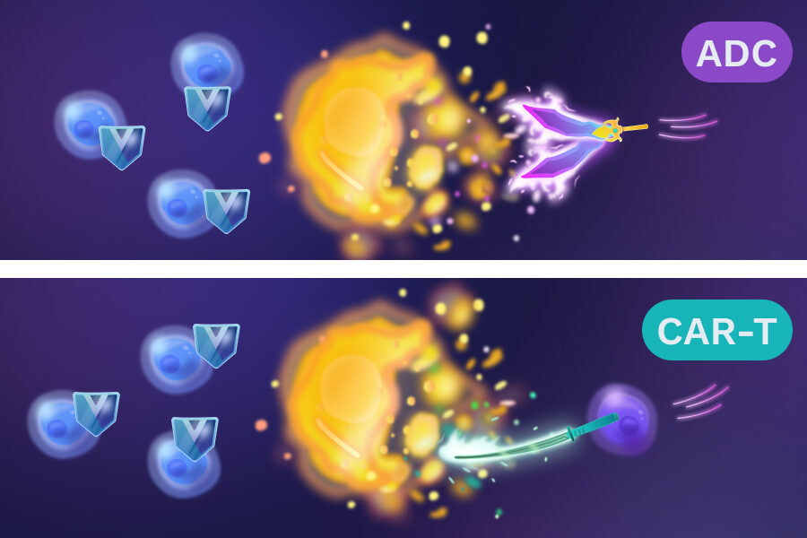 ADC and CAR-T targeting cell and Vor Bio's shielded stem cells